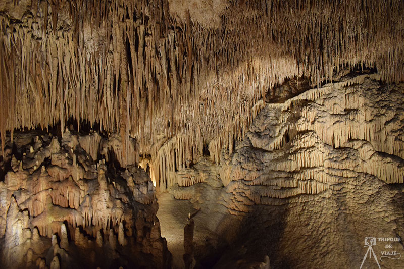 Cuevas del Drach. Una de las 40 cosas que ver y hacer en Mallorca.