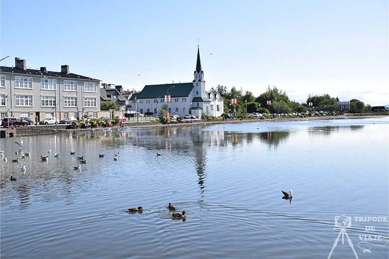 Lago Tjörnin, uno de las cosas que ver en Reikiavik