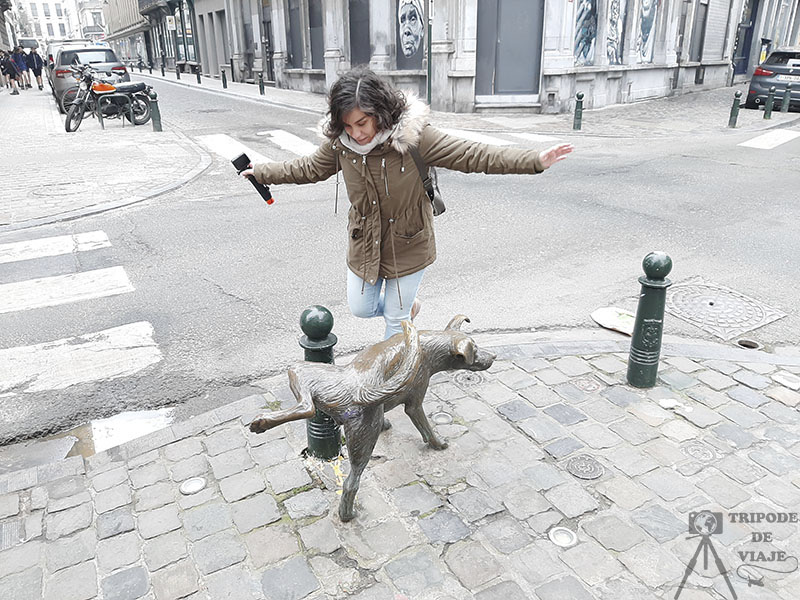 Zinneke Pis, conocido como el "perro meón", día 2 en Bruselas