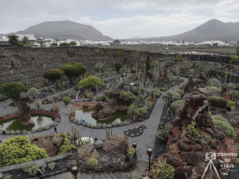 Jardín de Cactus, una de las cosas qué ver y hacer en Lanzarote