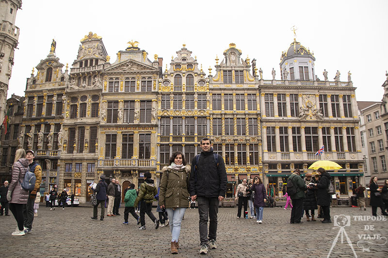 Las 6 casas gremiales en la Grand Place, día 2 en Bruselas