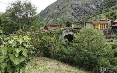 Senda del oso en la ruta de 4 días por Asturias